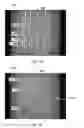 Fig. 28 - PATTERNED APERTURED WEBS AND METHODS FOR MAKING THE SAME