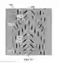 Fig. 30 - PATTERNED APERTURED WEBS AND METHODS FOR MAKING THE SAME