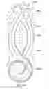 Fig. 45 - PATTERNED APERTURED WEBS AND METHODS FOR MAKING THE SAME