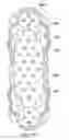 Fig. 46 - PATTERNED APERTURED WEBS AND METHODS FOR MAKING THE SAME