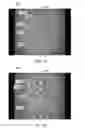 Fig. 24 - Patterned apertured webs and methods for making the same