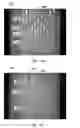 Fig. 25 - Patterned apertured webs and methods for making the same