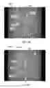 Fig. 27 - Patterned apertured webs and methods for making the same