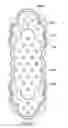 Fig. 46 - Patterned apertured webs and methods for making the same