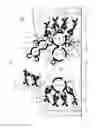 Fig. 08 - Method and device for setting ink-conducting rotational bodies of a printing press