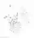 Fig. 09 - Method and device for setting ink-conducting rotational bodies of a printing press