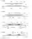 Fig. 09 - Screen printing mask and manufacturing method thereof