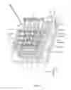 Fig. 05 - Wiper device and fluid ejection device