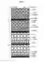 Fig. 08 - Dot recording apparatus, dot recording method, computer program therefor, and method of manufacturing recording medium