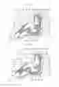 Fig. 04 - Glass run for automobile