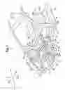 Fig. 02 - Electric motor mounting structure