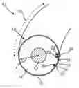 Fig. 01 - Steering wheel for a motor vehicle and process for producing a steering wheel