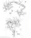 Fig. 02 - Manual control device for a bicycle, in particular of hydraulic brake and gearshift