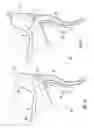 Fig. 11 - Manual control device for a bicycle, in particular of hydraulic brake and gearshift