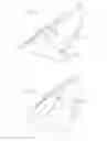 Fig. 13 - Watercraft vessel with a planing hull