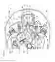 Fig. 22 - Outboard motor and vessel
