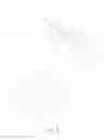 Fig. 05 - Seat headrest