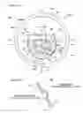 Fig. 13 - Can lid and beverage can