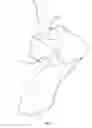 Fig. 13 - Multi-chambered drinking vessel