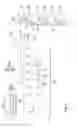 Fig. 02 - Bag, method for the production of a bag and machine system for the production of a bag