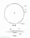 Fig. 06 - Bladder Systems for Dual Use of Truck Tanks