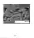 Fig. 08 - METHOD FOR MAKING CATHODE MATERIAL OF LITHIUM ION BATTERY