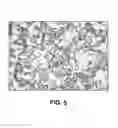 Fig. 06 - Graphene materials with controlled morphology