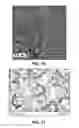 Fig. 09 - Graphene materials with controlled morphology