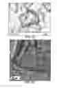 Fig. 10 - Graphene materials with controlled morphology