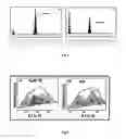 Fig. 08 - Process for preparation of nanoporous graphene and graphene quantum dots