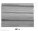 Fig. 07 - Cementitious composite material including a plurality of filled fibers