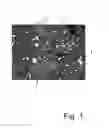 Fig. 02 - BATCH FOR PRODUCING A CARBON-BONDED OR RESIN-BONDED SHAPED FIRE-RESISTANT PRODUCT, A METHOD FOR PRODUCING SUCH A PRODUCT, A PRODUCT OF SAID TYPE, AND A USE OF MAGNESIA SPINEL ZIRCONIUM OXIDE