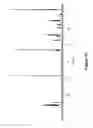 Fig. 16 - Systems and methods for the depolymerization of a biopolymer