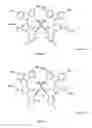 Fig. 02 - Process for the preparation of lightly-branched hydrophobes and the corresponding surfactants and applications thereof