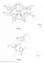 Fig. 05 - Process for the preparation of lightly-branched hydrophobes and the corresponding surfactants and applications thereof