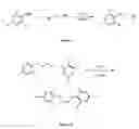 Fig. 06 - Process for the preparation of lightly-branched hydrophobes and the corresponding surfactants and applications thereof