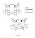 Fig. 08 - Process for the preparation of lightly-branched hydrophobes and the corresponding surfactants and applications thereof