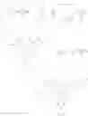 Fig. 12 - Novel Pyrrole Derivatives