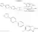 Fig. 281 - SPIRO-SUBSTITUTED OXINDOLE DERIVATIVES HAVING AMPK ACTIVITY