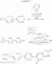 Fig. 282 - SPIRO-SUBSTITUTED OXINDOLE DERIVATIVES HAVING AMPK ACTIVITY