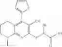 Fig. 63 - Acetyl-CoA carboxylase modulators