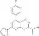Fig. 80 - Acetyl-CoA carboxylase modulators