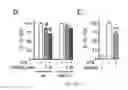 Fig. 06 - Map kinase modulators and uses thereof