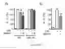 Fig. 09 - Map kinase modulators and uses thereof