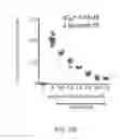 Fig. 14 - Map kinase modulators and uses thereof
