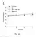 Fig. 21 - Map kinase modulators and uses thereof