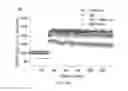 Fig. 24 - Map kinase modulators and uses thereof