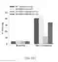 Fig. 43 - Map kinase modulators and uses thereof