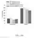 Fig. 44 - Map kinase modulators and uses thereof