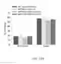 Fig. 45 - Map kinase modulators and uses thereof